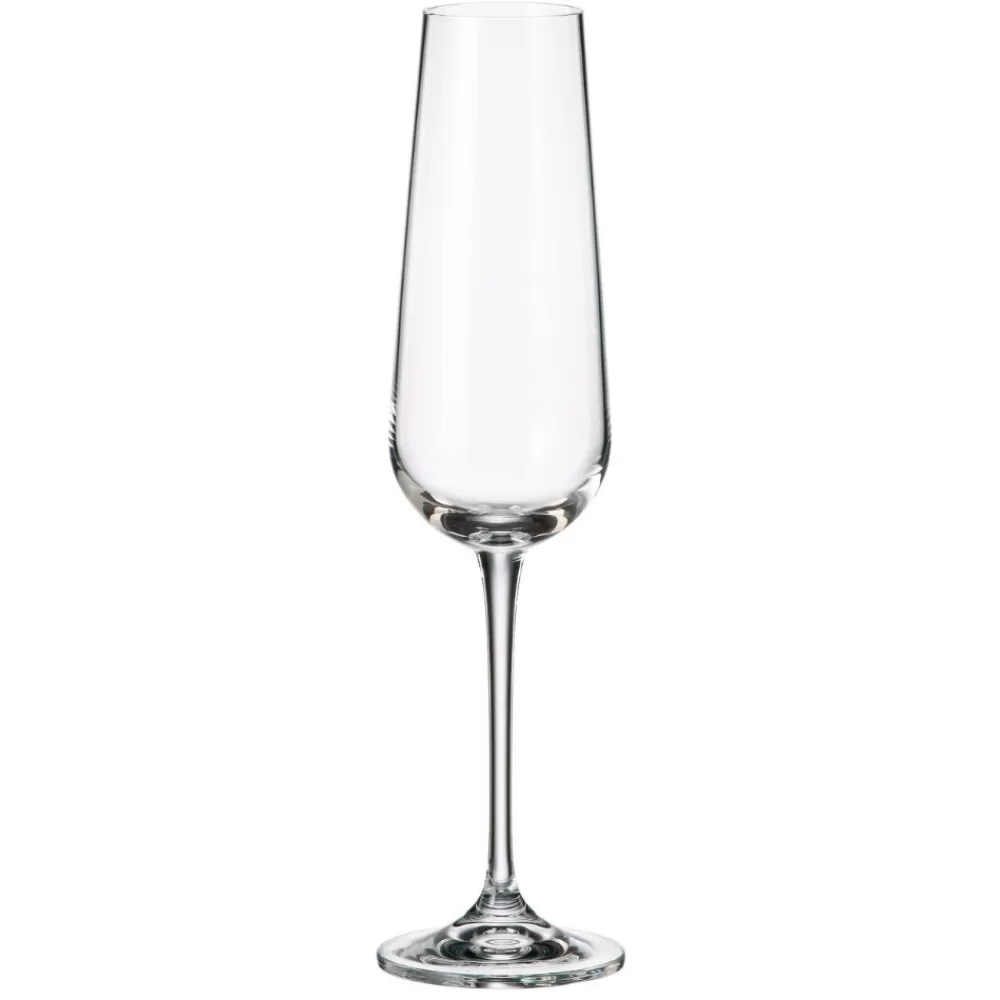 Clearance Amundsen Champagne Flute Wine