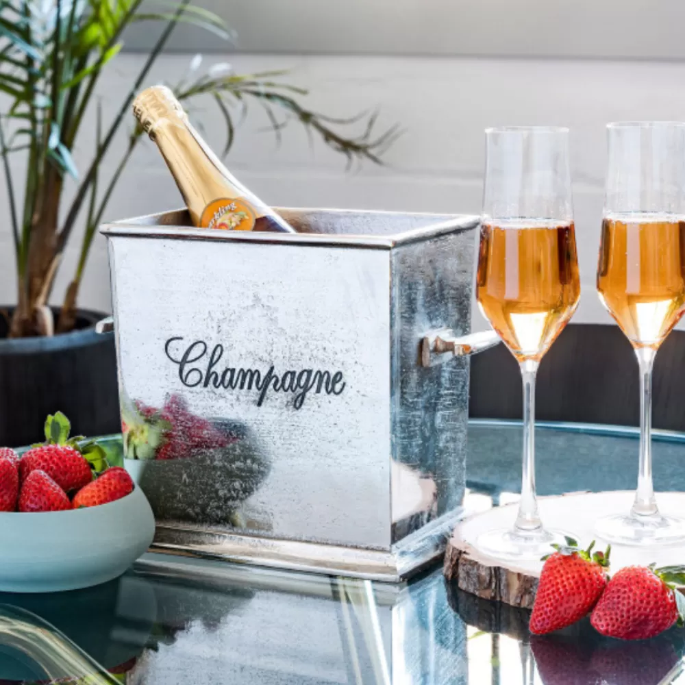 Shop 2-Bottle Champagne Chiller Wine