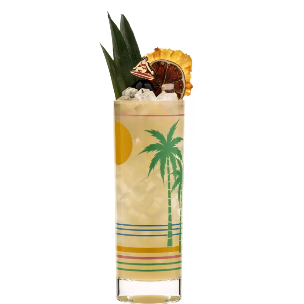 New Retro Tropical Collins Glass Highball Glasses