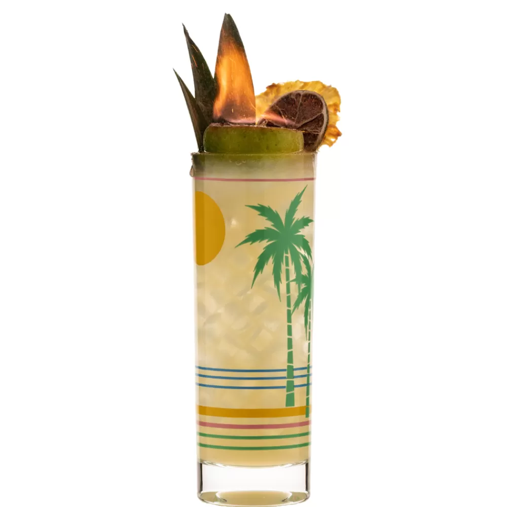 New Retro Tropical Collins Glass Highball Glasses