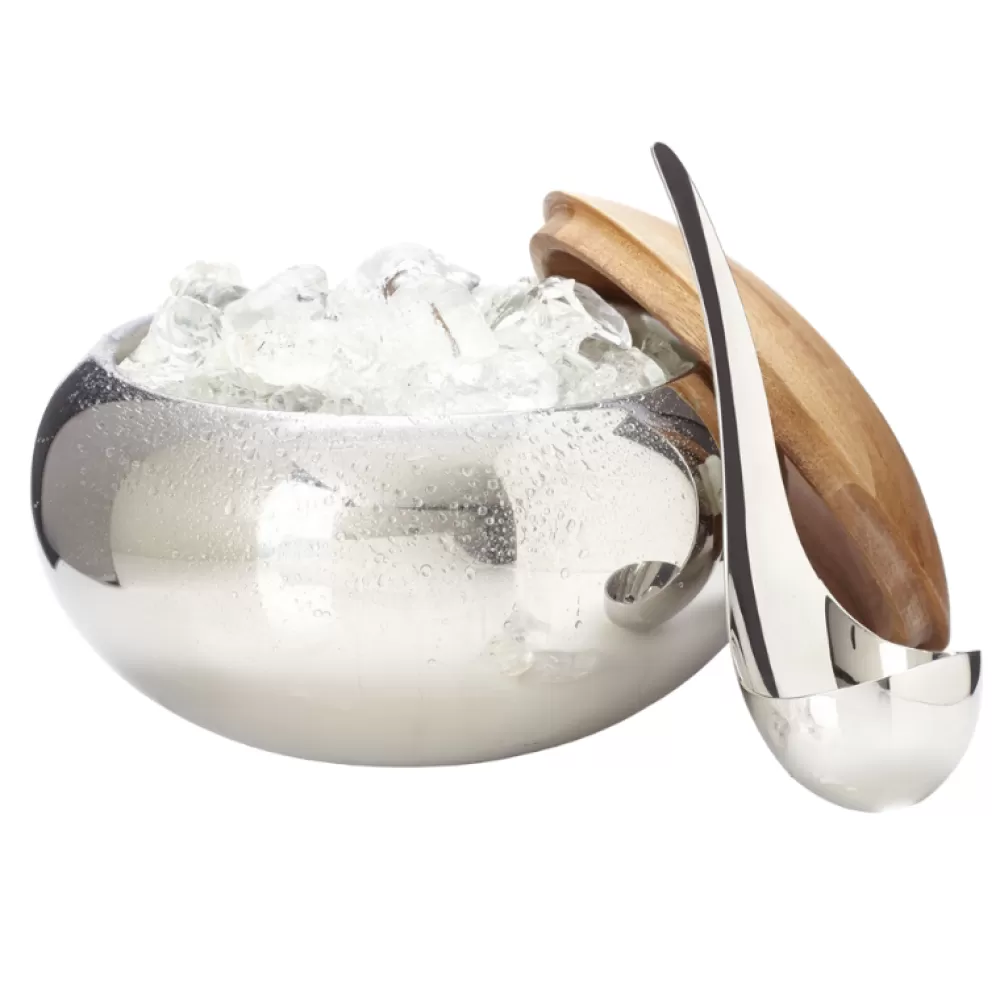 Best Scoop Ice Bucket Ice Molds + Tools