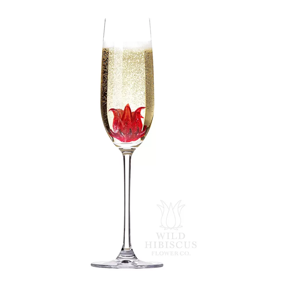 wild_hibiscus_flowers_in_syrup_l_2.webp Cheap Wild Hibiscus Flowers In Syrup (1L) Garnishes